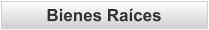 Bienes Raíces