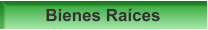Bienes Raíces