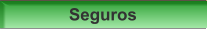 Seguros